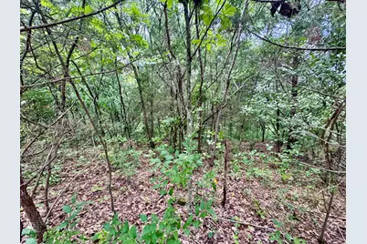 7.9 Acres Lawrenceville Road, Dry Ridge, KY 41035 - Photo 4