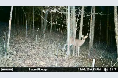 7.9 Acres Lawrenceville Road, Dry Ridge, KY 41035 - Photo 10