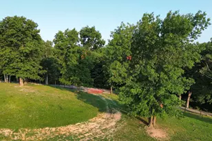 1416 Junction Pike, Berry, KY 41003 - Photo 36
