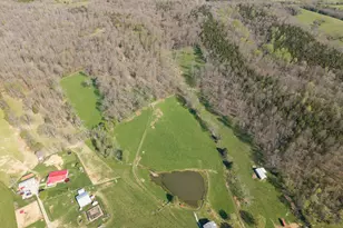 1810 Twin Creek Rd, Sadieville, KY 40370 - Photo 28