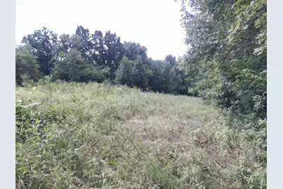 375 Moon Road, Williamstown, KY 41097 - Photo 10