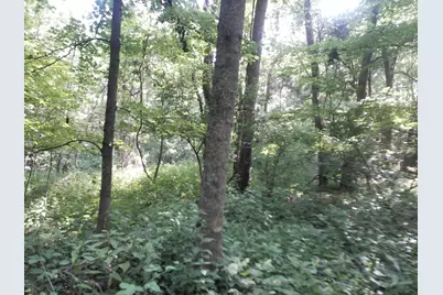 375 Moon Road, Williamstown, KY 41097 - Photo 6