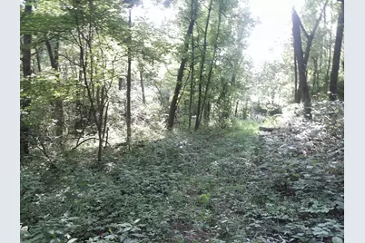 375 Moon Road, Williamstown, KY 41097 - Photo 8