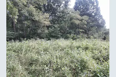 375 Moon Road, Williamstown, KY 41097 - Photo 12