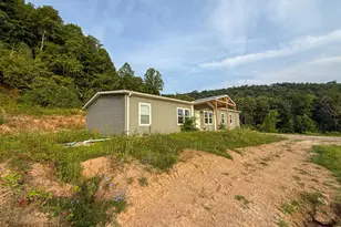 1000 Lazy Bee Ln, Vanceburg, KY 41179 - Photo 12
