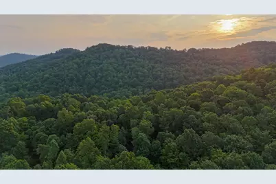 1000 Lazy Bee Lane, Vanceburg, KY 41179 - Photo 8