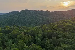 1000 Lazy Bee Ln, Vanceburg, KY 41179 - Photo 8