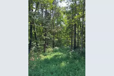 0000 31.7031 Ac On Big Bone Church Road, Union, KY 41091 - Photo 10