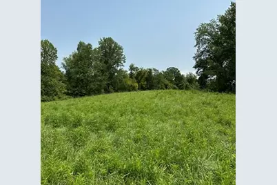 0000 31.7031 Ac On Big Bone Church Road, Union, KY 41091 - Photo 4