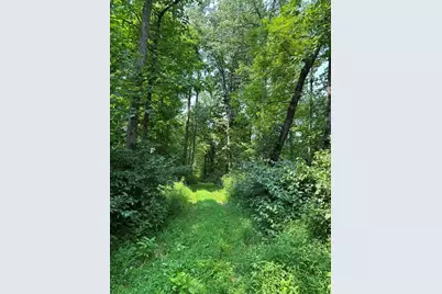 0000 31.7031 Ac On Big Bone Church Road, Union, KY 41091 - Photo 2
