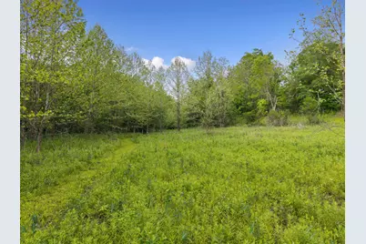 0 Lockmier 57+/- Acres Road, Augusta, KY 41002 - Photo 4