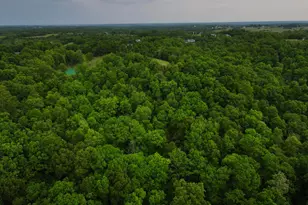 8275 KY-10, Falmouth, KY 41040 - Photo 44