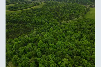8275 Ky-10, Falmouth, KY 41040 - Photo 12