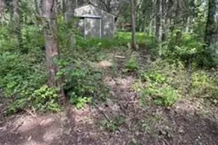 957 Bonar Rd, Falmouth, KY 41040 - Photo 28