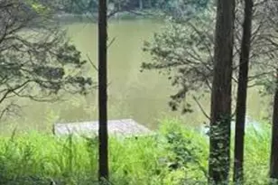 957 Bonar Rd, Falmouth, KY 41040 - Photo 26