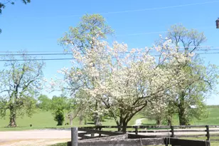 3869 Kentucky 435, Dover, KY 41034 - Photo 50
