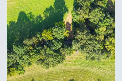 25 Acres Lenoxburg Road, Falmouth, KY 41040 - Photo 12