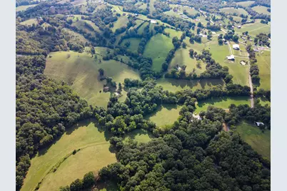 25 Acres Lenoxburg Road, Falmouth, KY 41040 - Photo 6