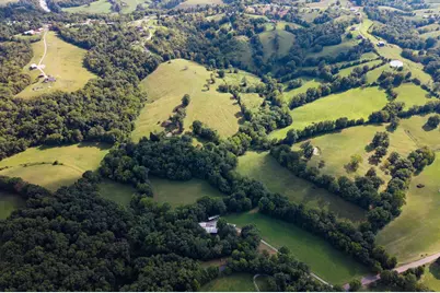 25 Acres Lenoxburg Road, Falmouth, KY 41040 - Photo 4