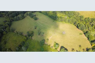 25 Acres Lenoxburg Road, Falmouth, KY 41040 - Photo 10