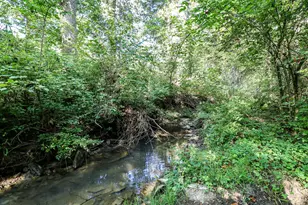 15538 Gardnersville Rd, Demossville, KY 41033 - Photo 44