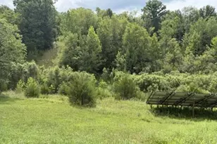 209 Muinn Rd, Butler, KY 41006 - Photo 42