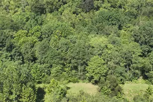 209 Muinn Rd, Butler, KY 41006 - Photo 34