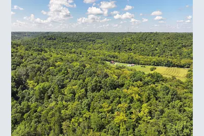 669 Wellsburg Walcott Road, Brooksville, KY 41004 - Photo 30