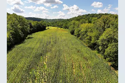 669 Wellsburg Walcott Road, Brooksville, KY 41004 - Photo 40