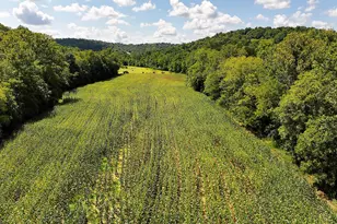 669 Wellsburg Walcott Rd, Brooksville, KY 41004 - Photo 40