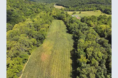 669 Wellsburg Walcott Road, Brooksville, KY 41004 - Photo 28