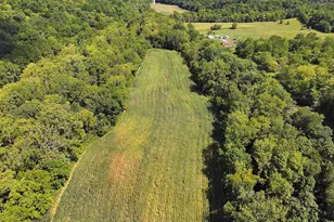669 Wellsburg Walcott Rd, Brooksville, KY 41004 - Photo 28