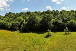 669 Wellsburg Walcott Rd, Brooksville, KY 41004 - Photo 36