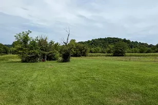669 Wellsburg Walcott Rd, Brooksville, KY 41004 - Photo 20