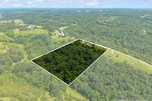 4389 Snake Lick Rd, Berry, KY 41003 - Photo 30