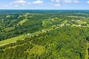 4389 Snake Lick Rd, Berry, KY 41003 - Photo 32