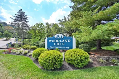 56 Woodland Hills Drive #4, Southgate, KY 41071 - Photo 46
