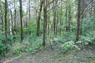 590 Agee Rd, Owenton, KY 40359 - Photo 22