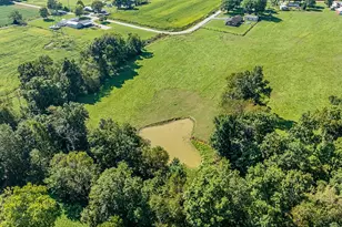301 Greens Bottom Rd, Carrollton, KY 41008 - Photo 42