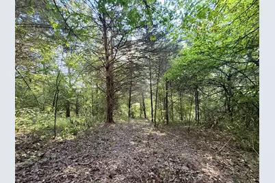 57 +/- Conley Road, Morningview, KY 41063 - Photo 10