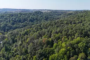 386 Upper Grassy Rd, Grayson, KY 41143 - Photo 48