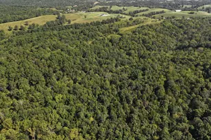 2470 Southfork Rd, Owenton, KY 40359 - Photo 22