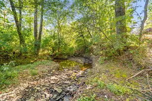 10460 Jasons Bluff, Florence, KY 41042 - Photo 44