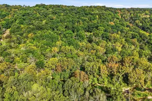 4242 Dale Williamson Rd, Union, KY 41091 - Photo 12