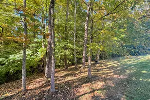 3079 Silverbell Way, Independence, KY 41051 - Photo 46