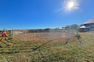 3282 Concord Caddo Rd, Falmouth, KY 41040 - Photo 32