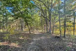 3282 Concord Caddo Rd, Falmouth, KY 41040 - Photo 44