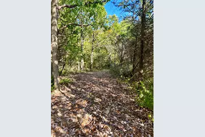 13.11 Acre Taft Hwy #Lot 1, Williamstown, KY 41097 - Photo 2