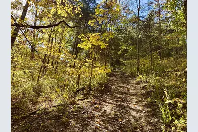 13.11 Acre Taft Hwy #Lot 1, Williamstown, KY 41097 - Photo 6