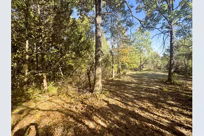 13.11 Acre Taft Hwy #Lot 1, Williamstown, KY 41097 - Photo 8